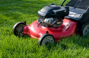 Lawnmower