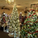 Festival of Trees