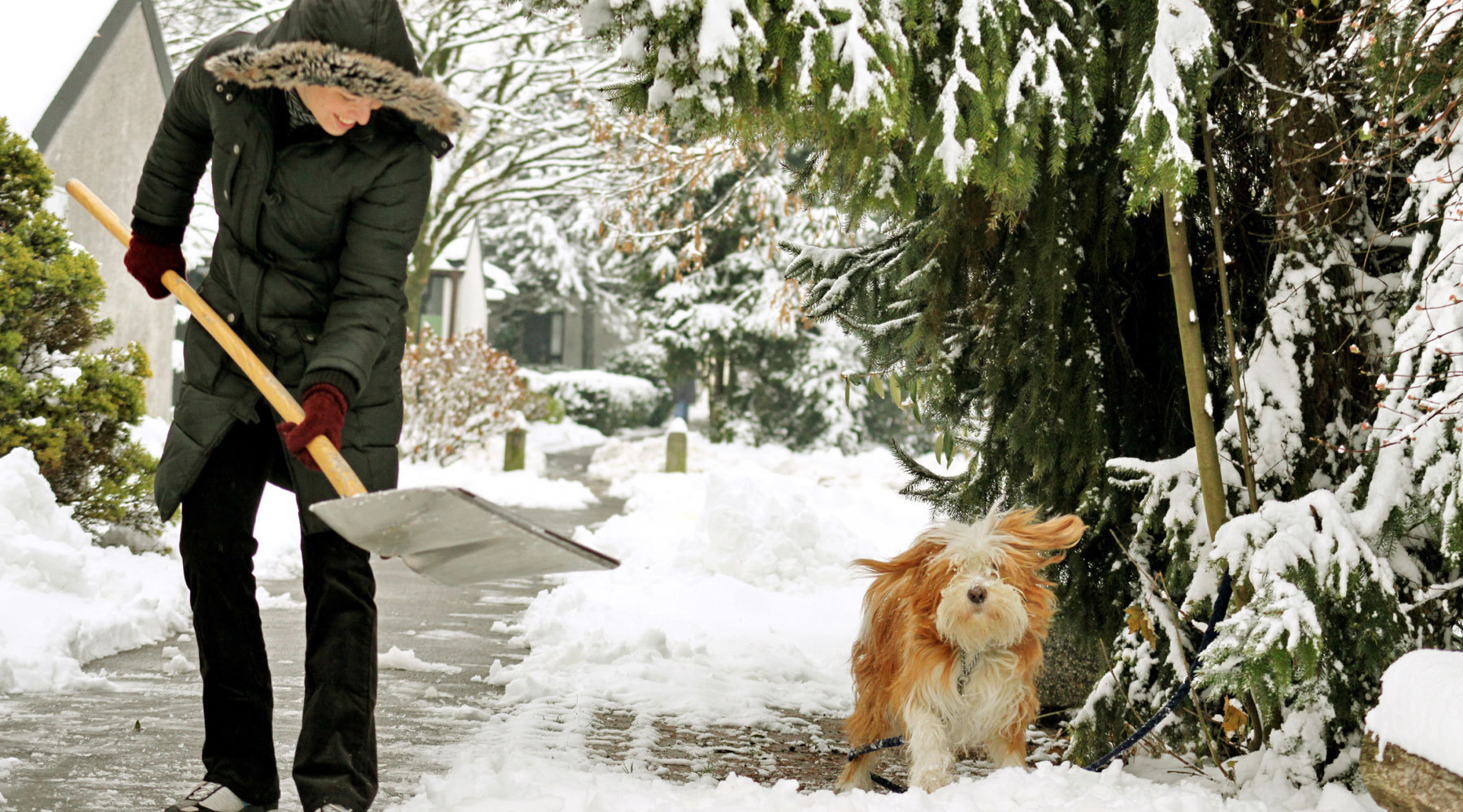 Snow Shoveling Injuries: The Do’s and Don’ts to Effectively Tossing Flakes