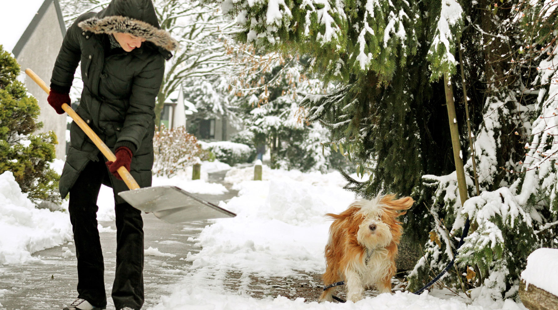 woman trying to avoid snow shoveling injuries by bending with the knees