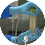 Lipogems